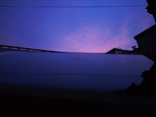 226031