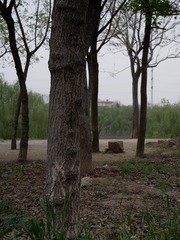 155DDF3C-7501-439B-98D4-069DB9AF3307/L0/001
