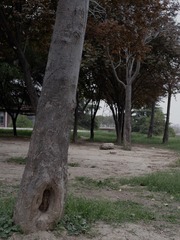8D7A1153-BF2A-4EB7-B6B0-D0C6F51B86DB/L0/001