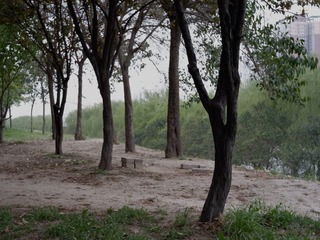 33A65C32-A0A8-4749-AC01-C8BBB850A905/L0/001