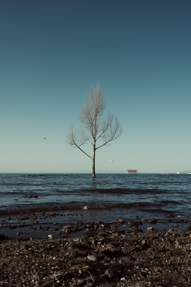 798_1200竖版 竖屏