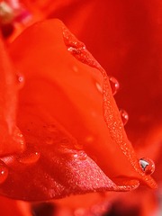 1579C045-6C48-466A-BA6D-36E1632D6155/L0/001