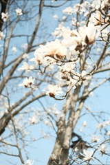 C7339EF5-C285-4901-B5D2-F842F5ED6FF2/L0/001