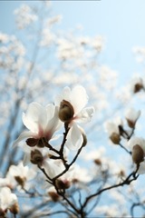 A2012747-BB69-4D0C-AFED-D12869D7FDC8/L0/001