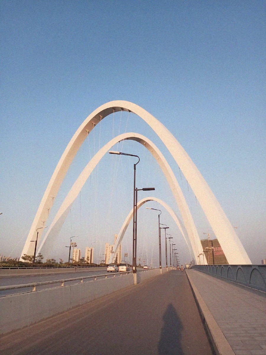 东京大桥(河南开封)