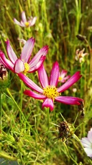 PIC_20160731_081906_EBF