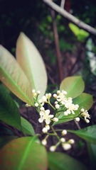 PIC_20160417_210017_4C6