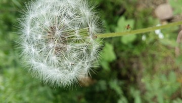 PIC_20150527_100940_F0E