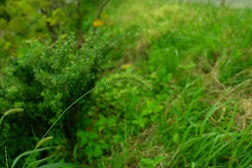7B11518D-D9BC-4969-93D4-FE3CB8C22E5B/L0/001