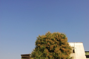 CE68D4BA-933C-43E4-B8D6-B4EAA018FC08/L0/001