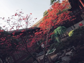 433159