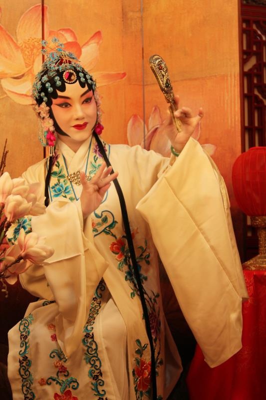 游园惊梦人物杜丽娘每一个都会体验国粹京剧艺术照的魅力