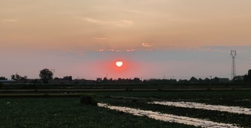 1000028673