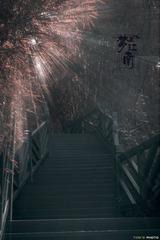 343053
