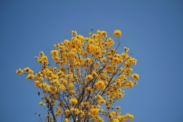 D398131D-2975-404F-831C-BBDFBD431498/L0/001