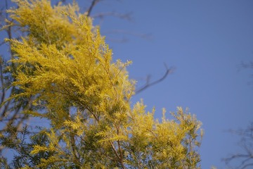 FE3AA2E3-F036-4564-8AC8-0F7892DA4119/L0/001