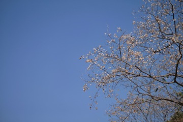 0279437A-A7DF-465F-9F78-E1EAE2588EEA/L0/001