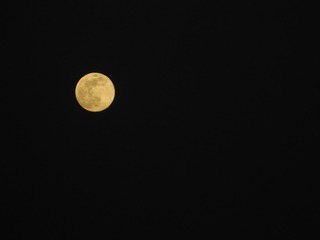 4C9EF526-07DD-4CC9-A95A-96322F037187/L0/001