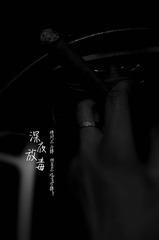 6381362
