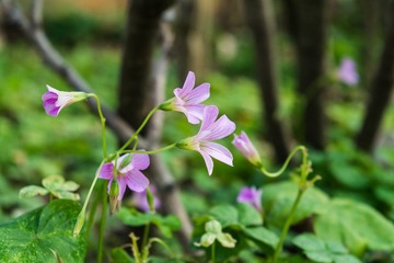 _DSC0322-3