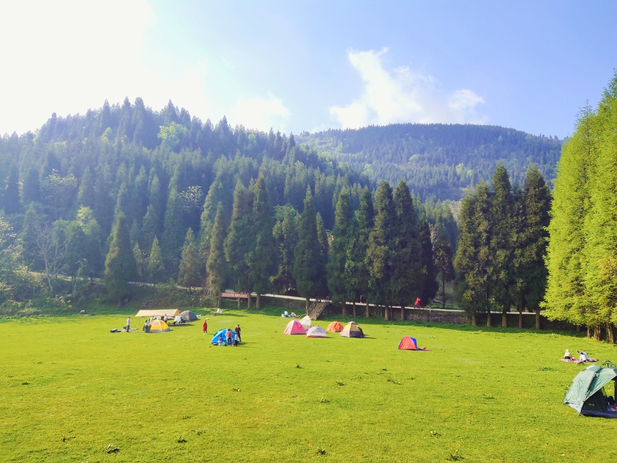 看看大自然,深呼吸,把不好的吐出去扔给森林氧气