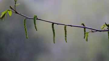 1202281