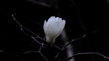 1202277