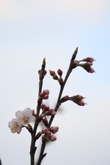 001