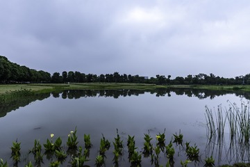 DSC_0047-1