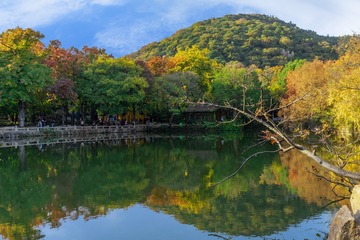 DSC_5225-1