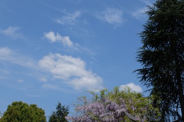 DSCF5589[1]