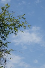 DSCF5612[1]