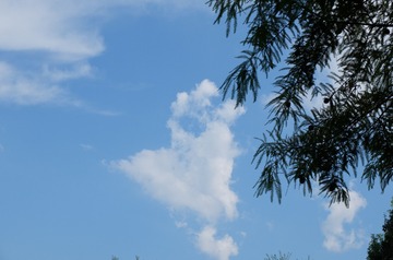 DSCF6098[1]