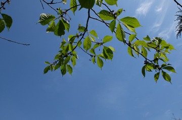 DSCF5578[1]