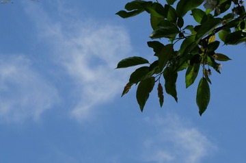 DSCF5613[1]
