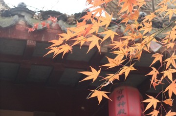DSCF7316