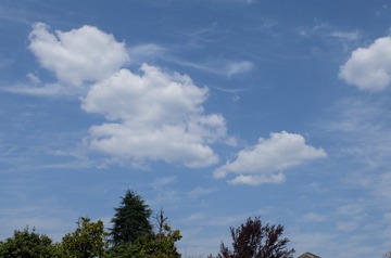 DSCF5649[1]