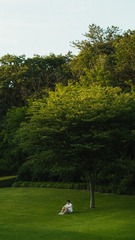 119A9821-FBC0-4BF6-A3D6-FE06F6F55FD6/L0/001