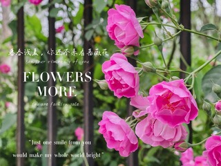 4078A0A9-20CE-49BB-A8F0-B5B111EC7C7C/L0/001