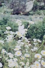 41AC60C6-CDF4-47C8-AA16-3519C4C962CD/L0/001