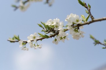 36B5F49C-084D-4CBD-911E-3D14E6B2849A/L0/001