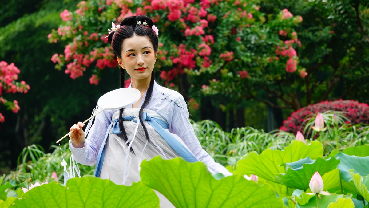 荷花姑娘