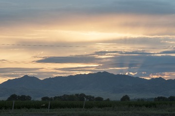 _DSC5340