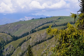_DSC7063