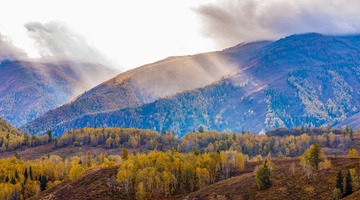 _DSC9505