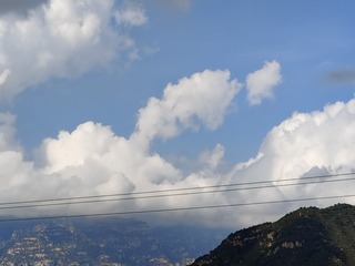 1000002449