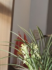 1000002200