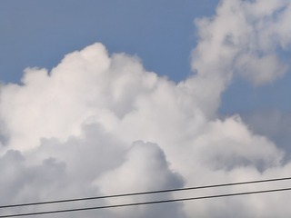 1000002453