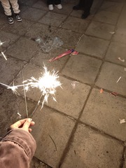 1000000718