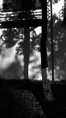 07868CD4-B153-4F46-A548-4EA69B300B3E/L0/001